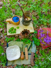 осмол, кукса, пагони ялини, збиральництво, весняний ліс, лісовий чай,