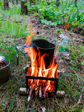 осмол, кукса, пагони ялини, збиральництво, весняний ліс, лісовий чай,