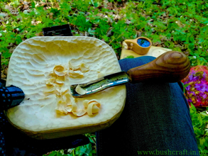 осмол, кукса, пагони ялини, збиральництво, весняний ліс, лісовий чай,