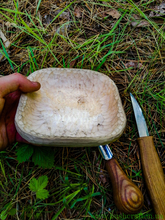 осмол, кукса, пагони ялини, збиральництво, весняний ліс, лісовий чай,