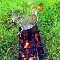 лісовий чай