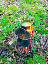 осмол, кукса, пагони ялини, збиральництво, весняний ліс, лісовий чай,