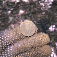 коп, металопошук, знайдені знахідки, монети, псв, гільзи, патрони